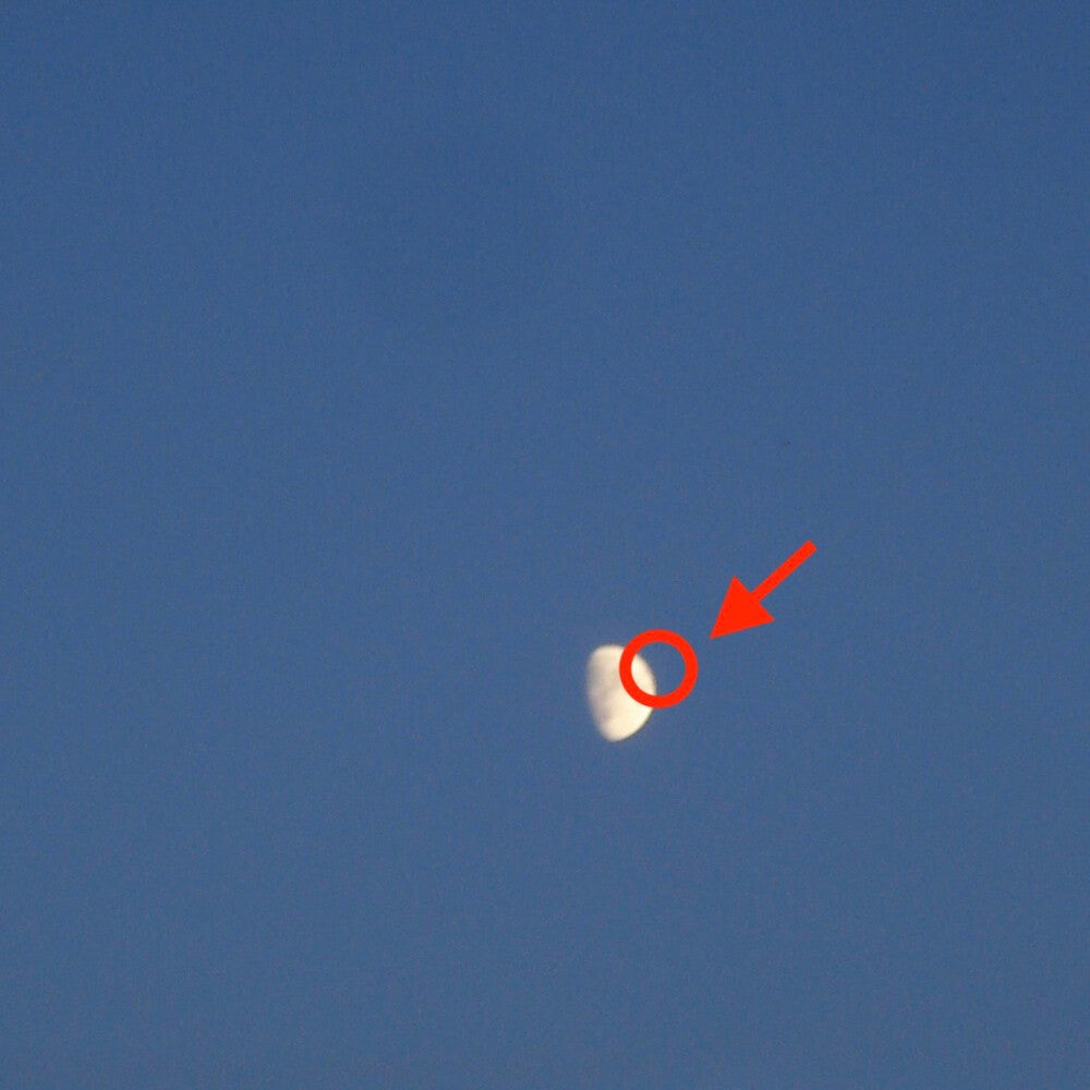 the album cover for cleopatrick - FAKE MOON [Compact Disc]