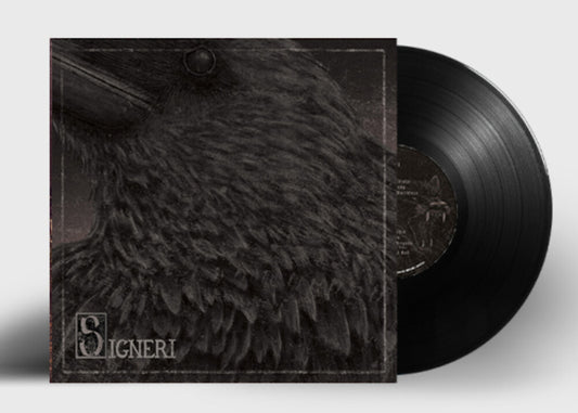 the album cover for Signeri - Signeri