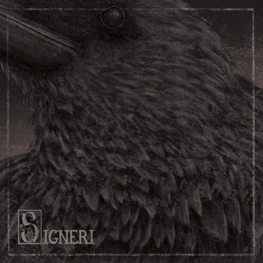 the album cover for Signeri - Signeri