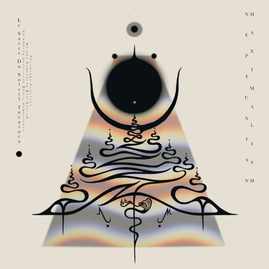 the album cover for Neptunian Maximalism - Le Sacre Du Soleil Invaincu