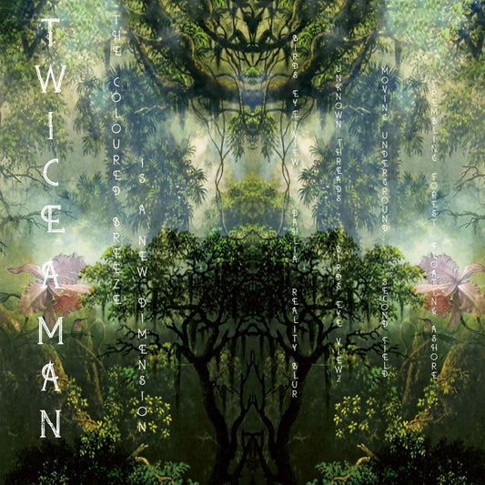 the album cover for Twice A Man - The Coloured Breeze Is a New Dimension