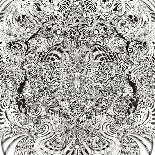the album cover for Gaupa - Fyr [Digipak]