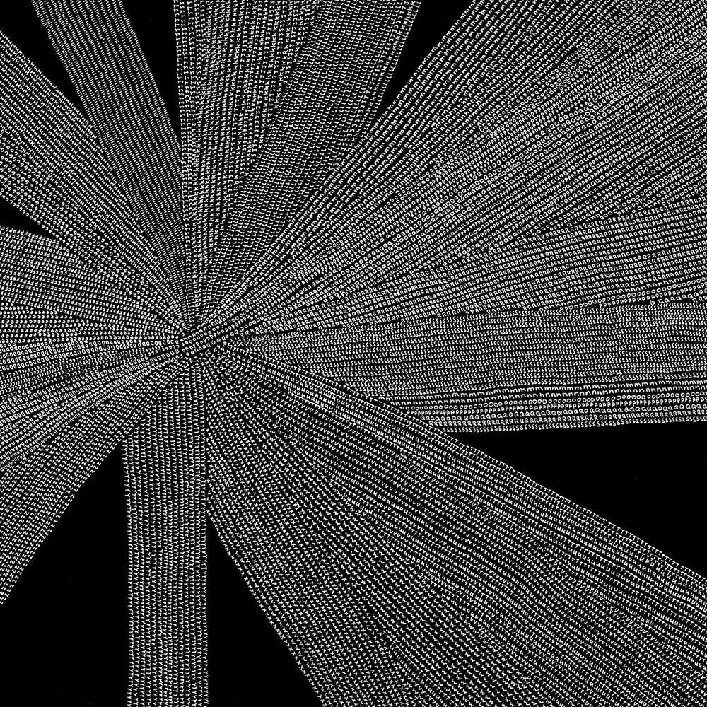 the album cover for Amina Myers  Claudine - Solace Of The Mind [Clear Vinyl]