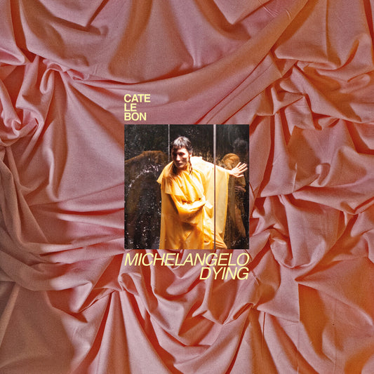 the album cover for Cate Le Bon - Michelangelo Dying