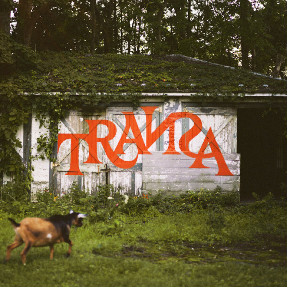 the album cover for Transa / Various (Dlx) (Can) - Transa / Various [Deluxe] (Can)