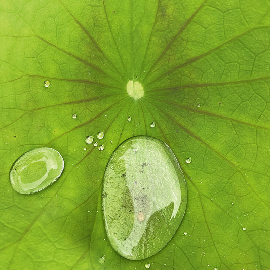 the album cover for Peter Chilvers - Dust 3 (10in)