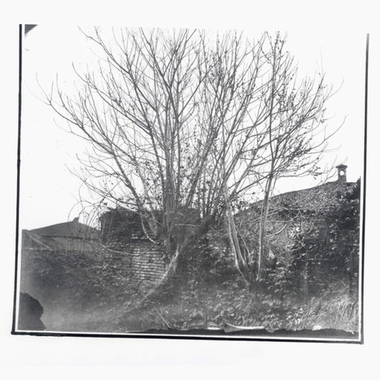 the album cover for Siavash Amini - Caligo