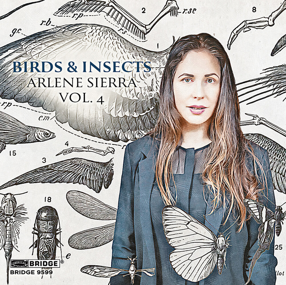 the album cover for Steven Beck - Arlene Sierra: Birds & Insects