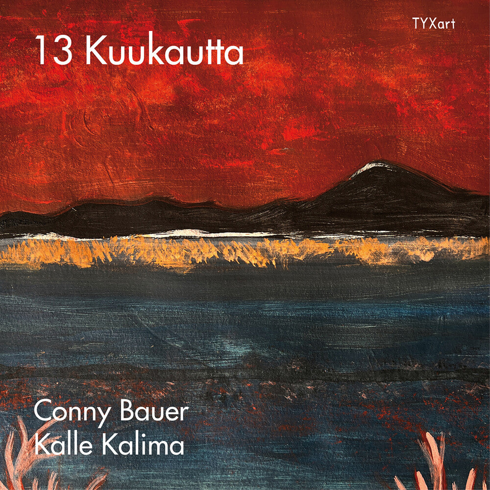 the album cover for Conny Bauer - 13 Kuukautta