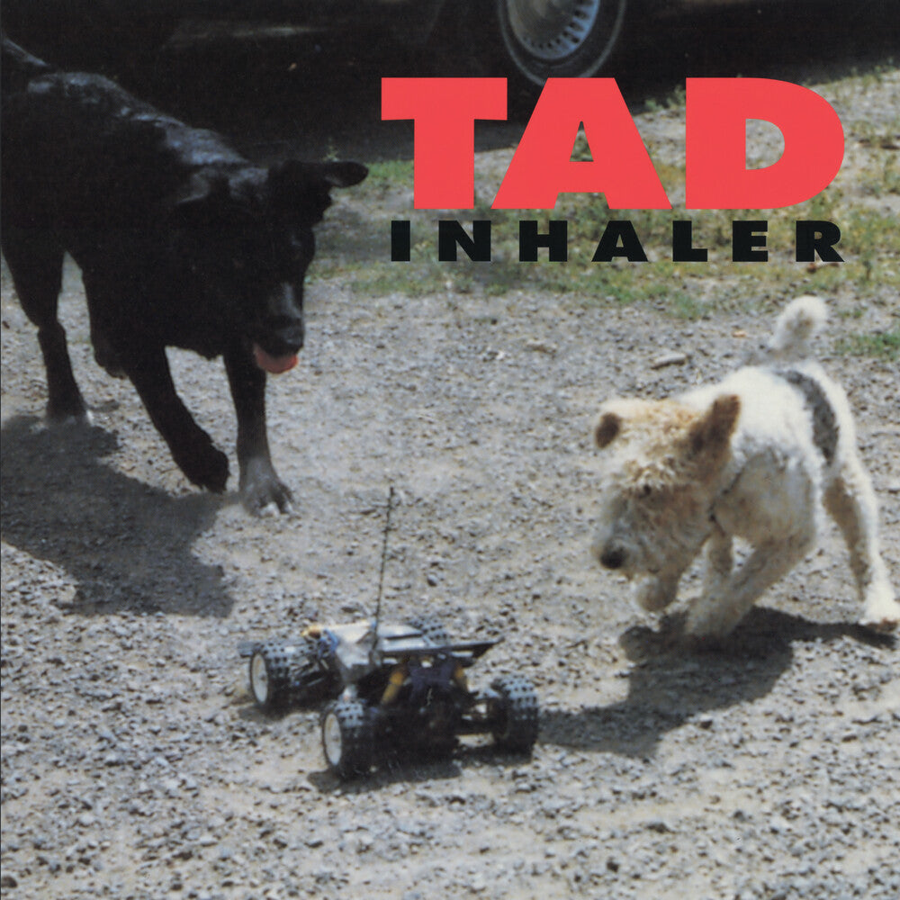 the album cover for Tad - Inhaler (Hol)