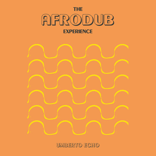the album cover for Echo, Umberto - The Afrodub Experience