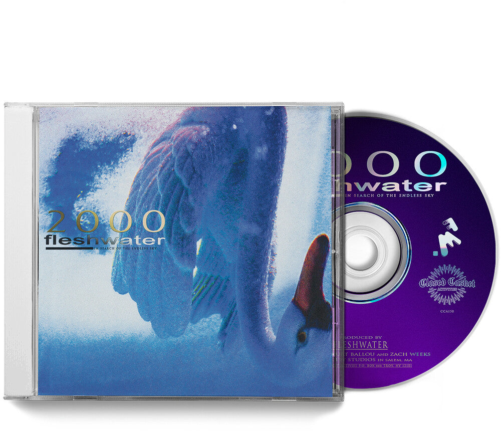 the album cover for Fleshwater - 2000: In Search Of The Endless Sky