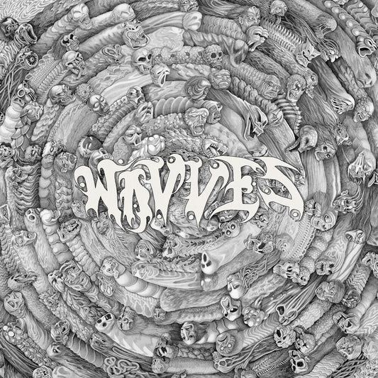 the album cover for Wavves - Spun