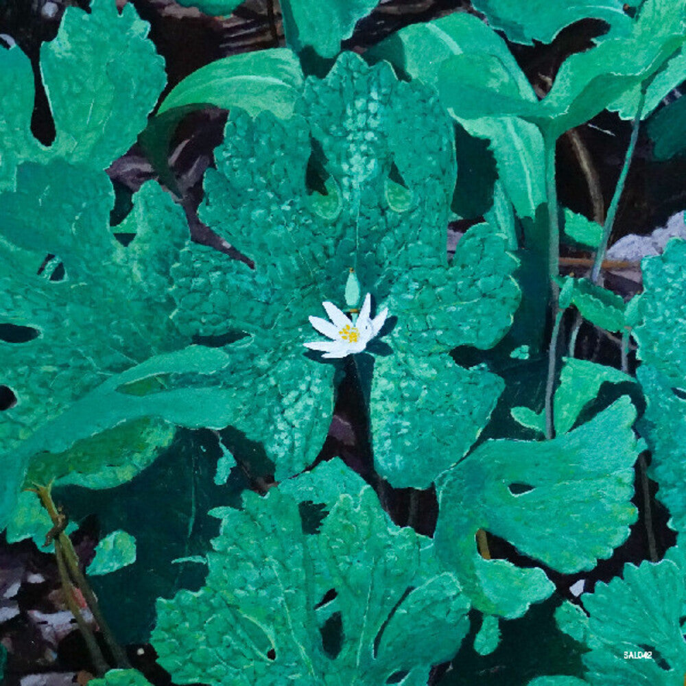 the album cover for Early Fern - Wetland Interiors [180 Gram]