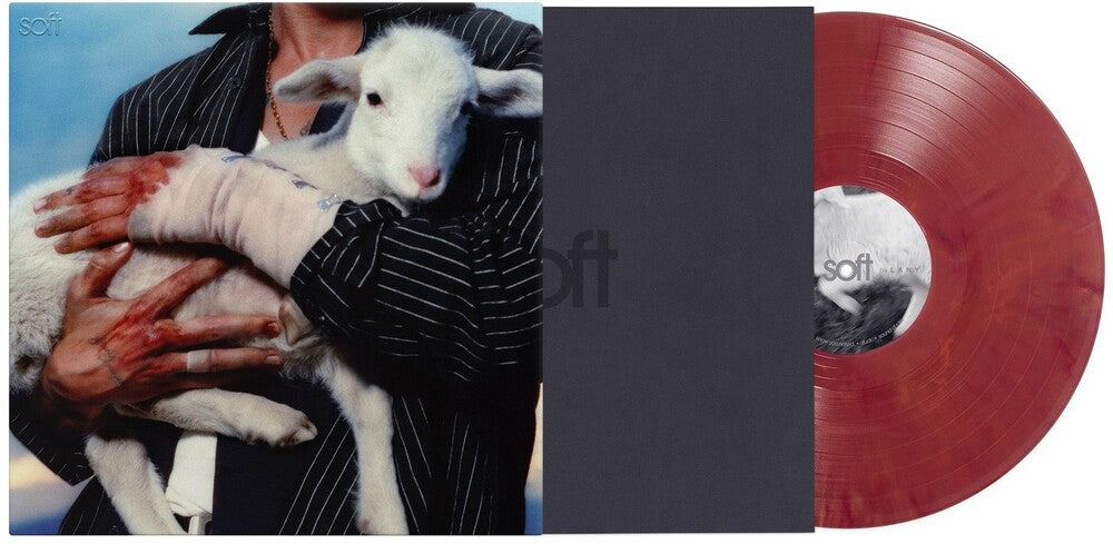 the album cover for LANY - Soft [Maroon Color 1LP Vinyl with printed inner sleeve and 12x24 poster]