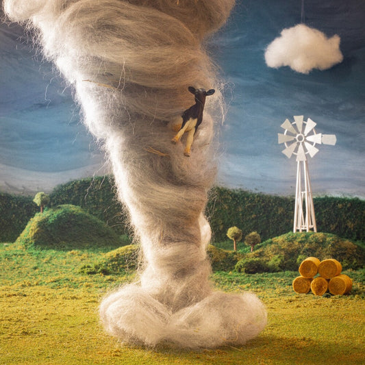 the album cover for Sydney Sprague - Peak Experience [Colored Vinyl]