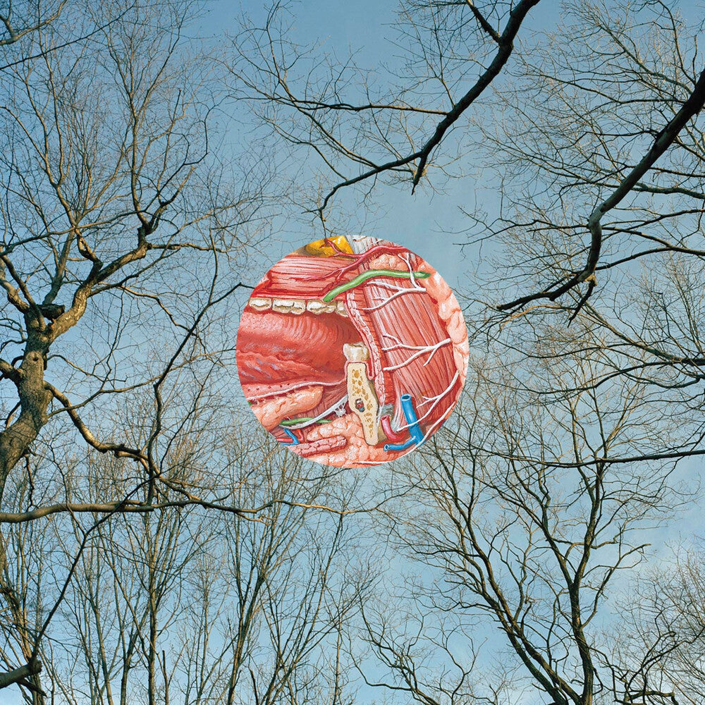 the album cover for They Might Be Giants - Glean [Clear Vinyl] (Red)