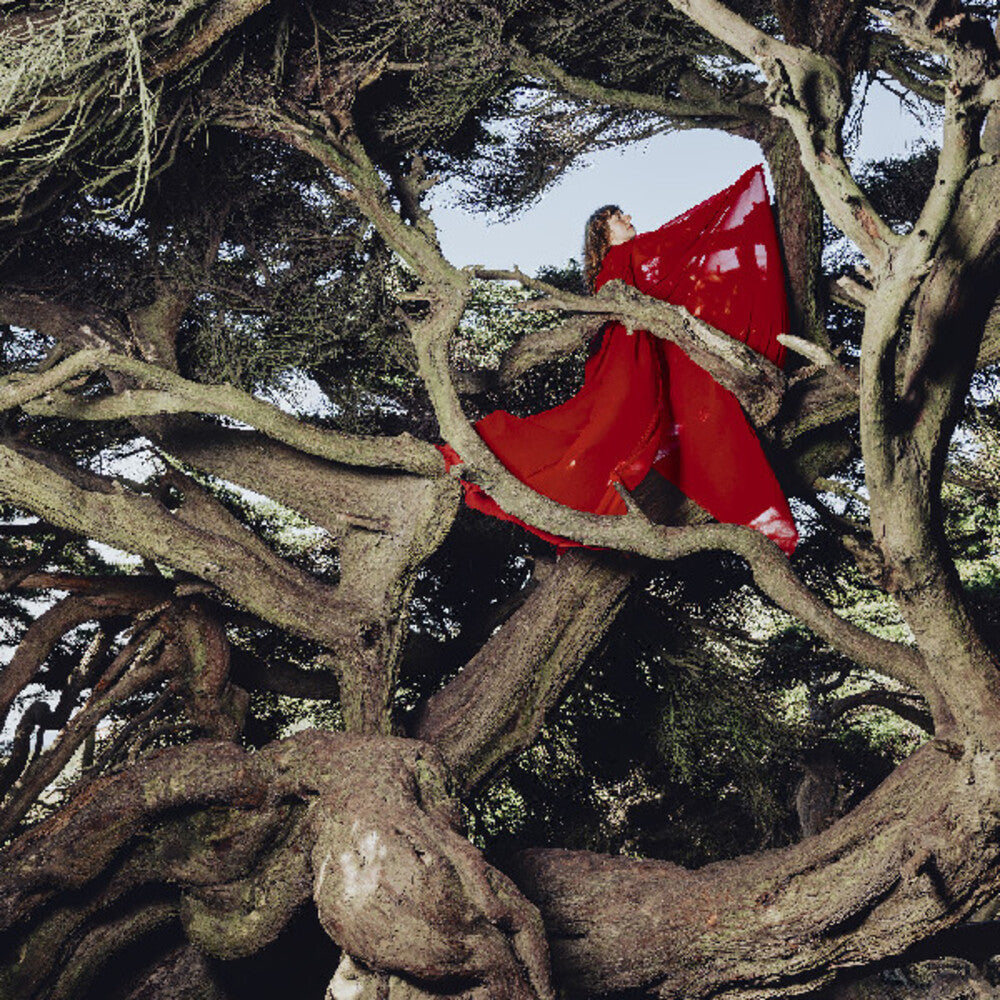 the album cover for Hannah Frances - Nested In Tangles