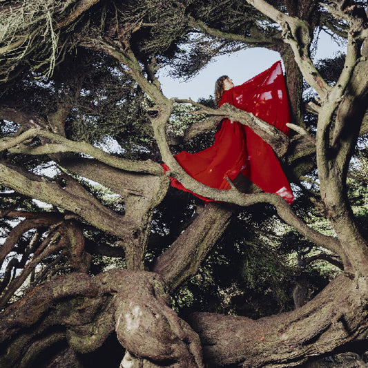 the album cover for Hannah Frances - Nested In Tangles