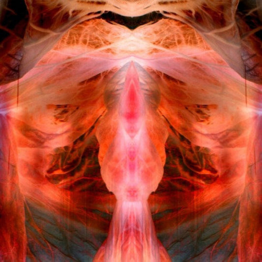 the album cover for Paul Schutze - Annihilating Angel Or Surface Of The World [Reissue]