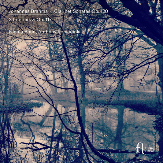 the album cover for Nicola Boud - Brahms: Clarinet Sons Op. 120 & 3 Intermezzi Op. 1