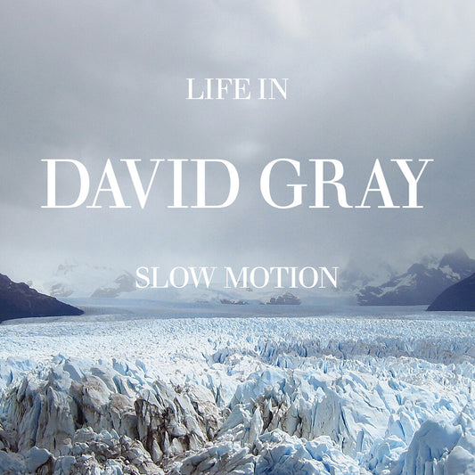 the album cover for David Gray - Life In Slow Motion (20th Anniversary Ed.) Blue