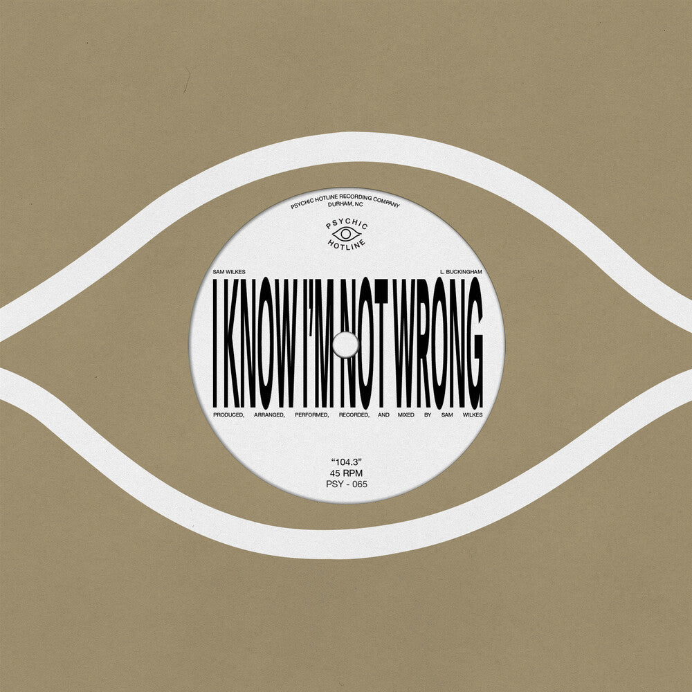 the album cover for Sam Wilkes - 104.3