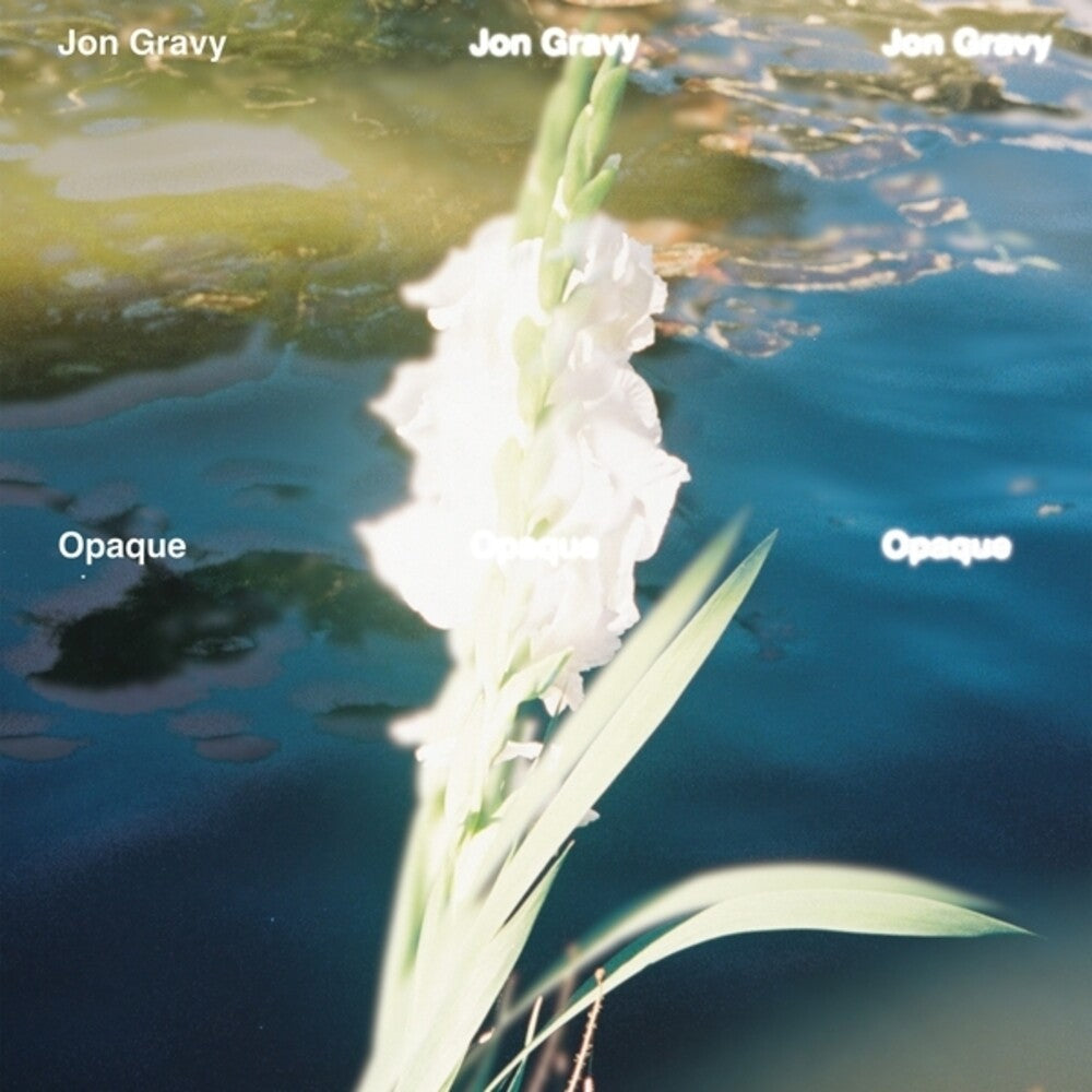 the album cover for Jon Gravy - Opaque