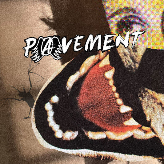 the album cover for Pavement - Hecklers Choice: Big Gums And Heavy Lifters