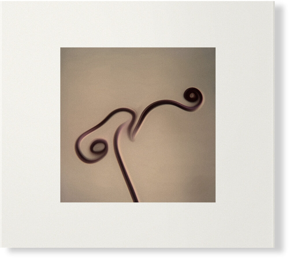 the album cover for Susumu Yokota - Image 1983-1998