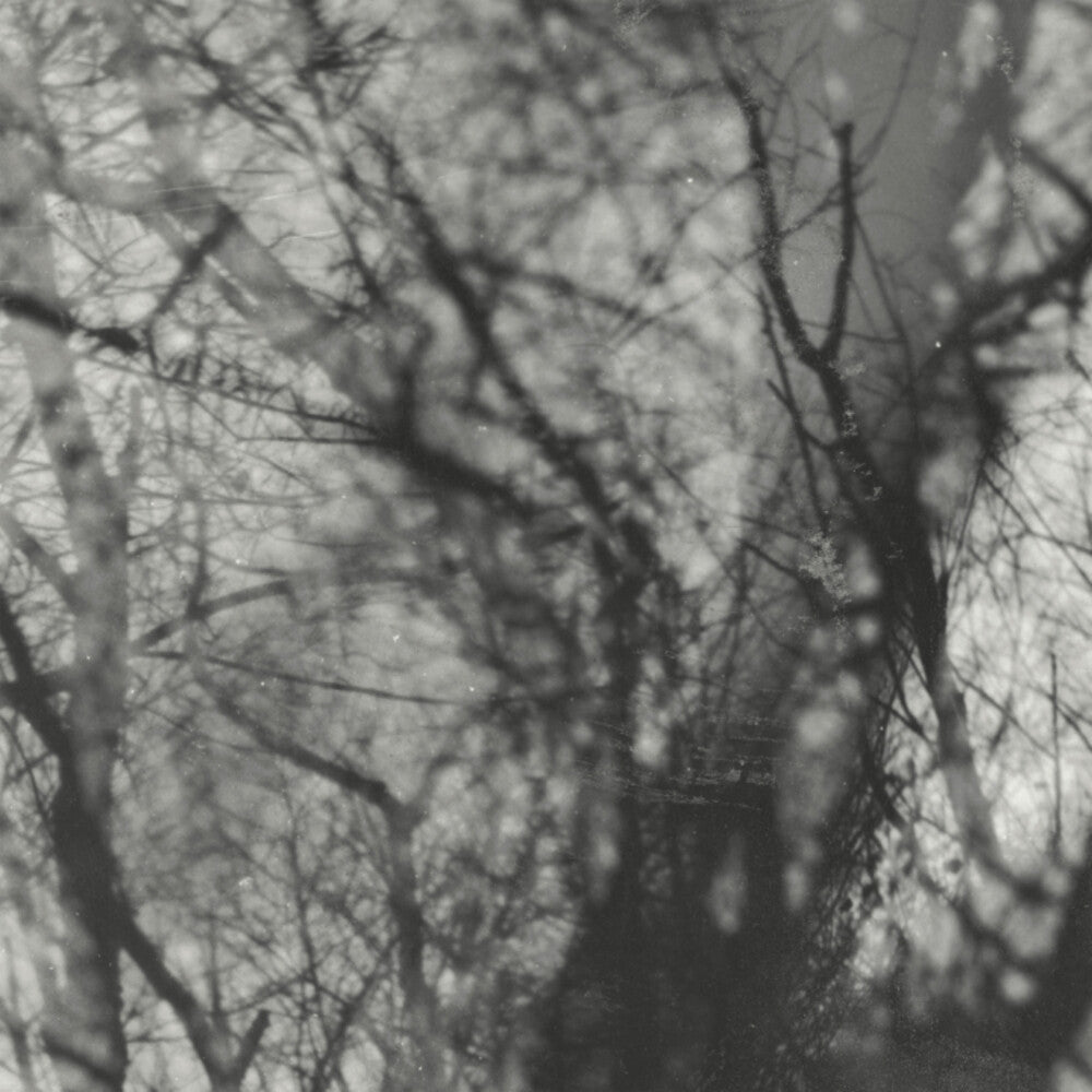 the album cover for Grouper - Way Their Crept [Reissue]