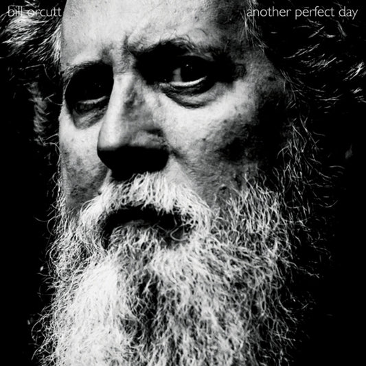 the album cover for Bill Orcutt - Another Perfect Day