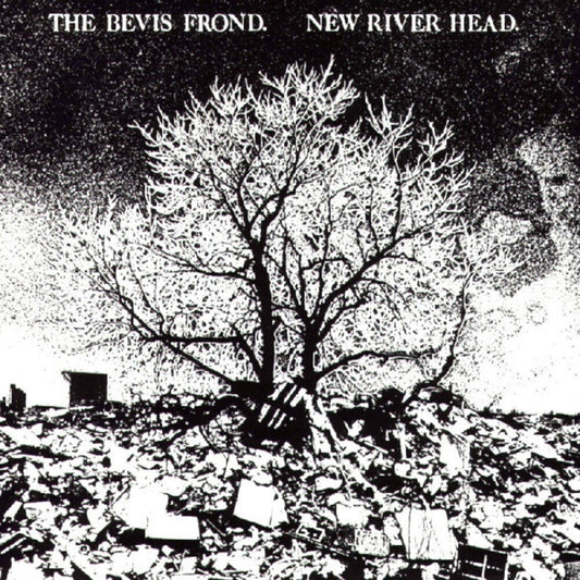the album cover for The Bevis Frond - New River Head (Gate) [Download Included]