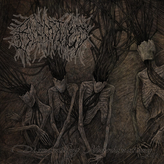 the album cover for Bloodtied - Dismantling Neuroanatomy