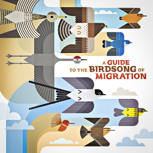 the album cover for Guide to the Birdsong of Migration / Various - Guide To The Birdsong Of Migration / Various