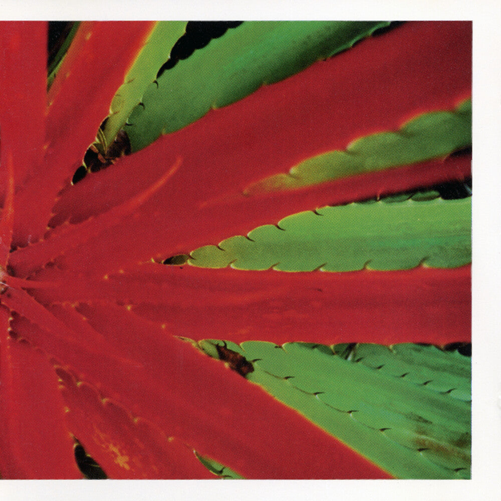 the album cover for Jejune - This Afternoons Malady