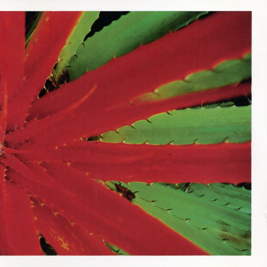 the album cover for Jejune - This Afternoons Malady