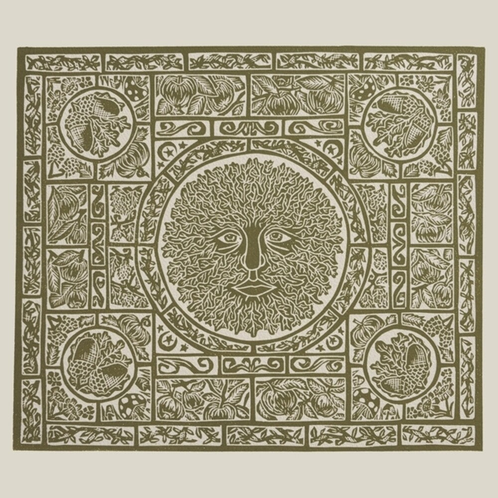 the album cover for Fuzzy Lights - Fen Creatures