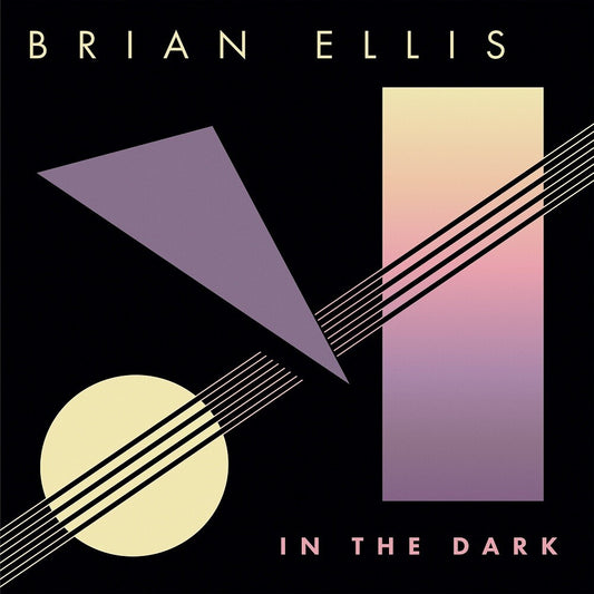 the album cover for Brian Ellis - In The Dark