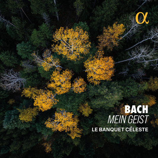 the album cover for Le Banquet Celeste - Bach: Mein Geist