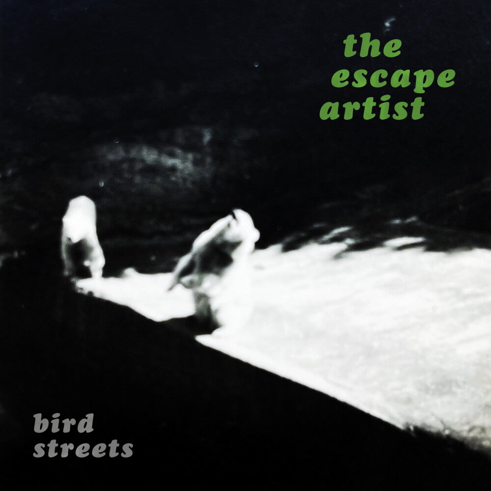 the album cover for Bird Streets - Escape Artist