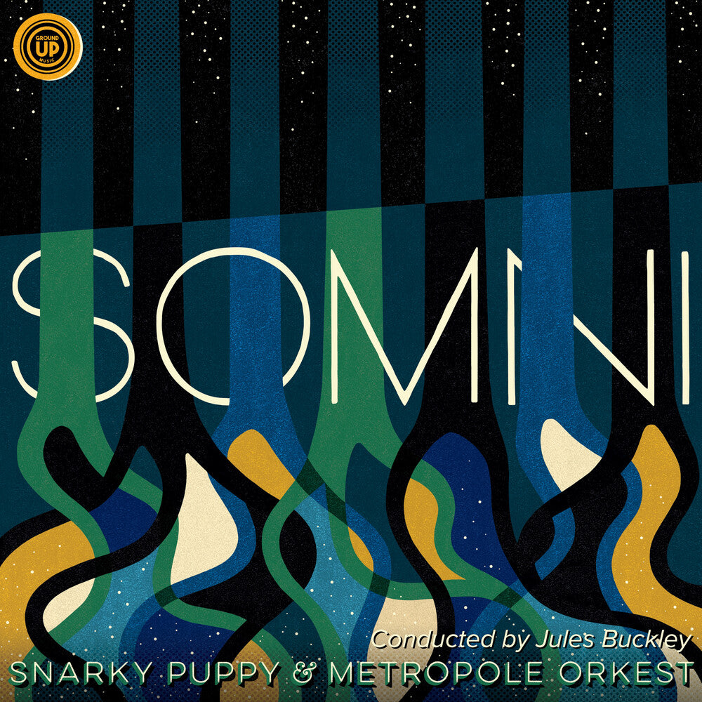the album cover for Snarky Puppy - Somni