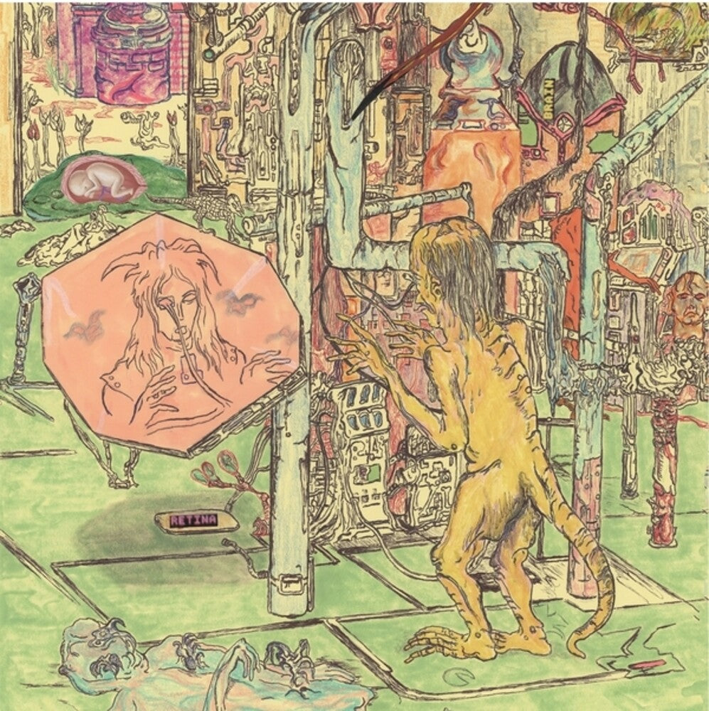 the album cover for Wiccans - Phase Iv