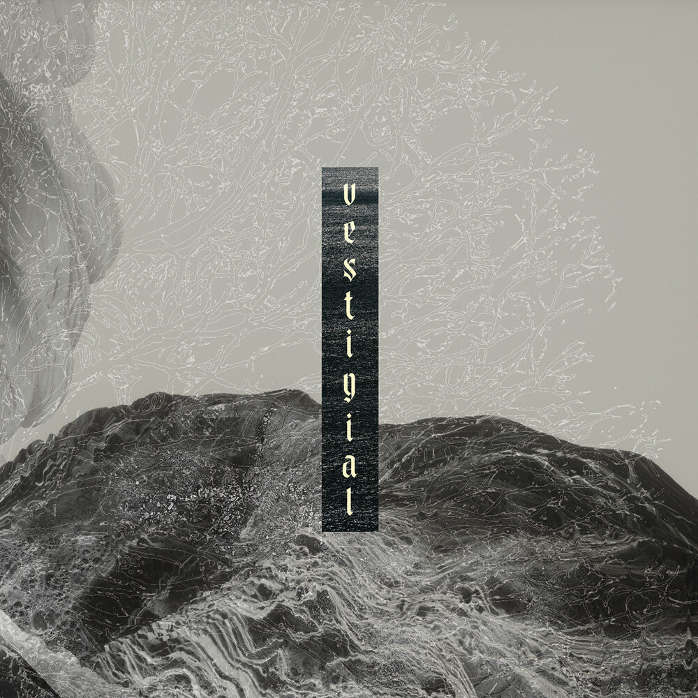 the album cover for Vestigial - Descending Vastness