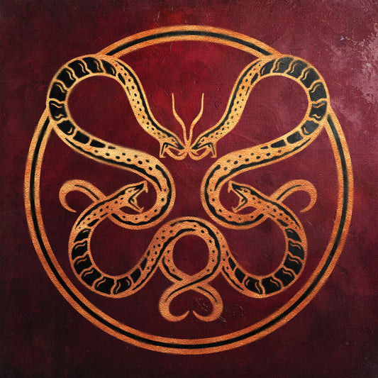 the album cover for Vicious Rain - Anatomy Of Surviving