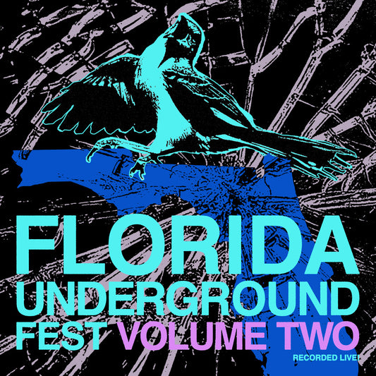 the album cover for Florida Underground Fest 2 / Various - Florida Underground Fest 2 / Various