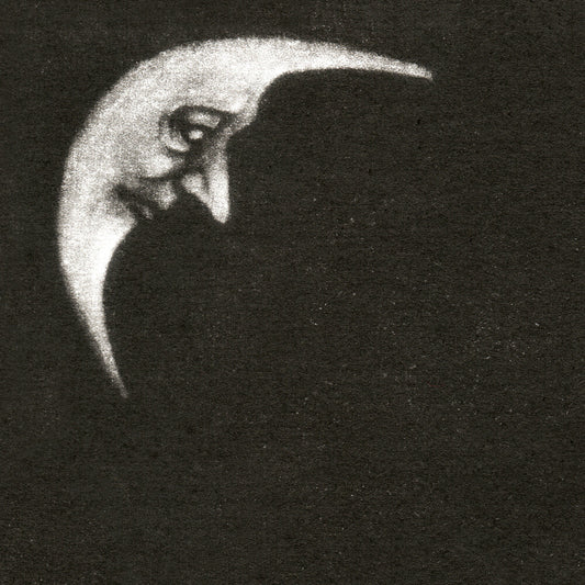 the album cover for Crippled Black Phoenix - Sceaduhelm [Limited Edition] [Digipak]