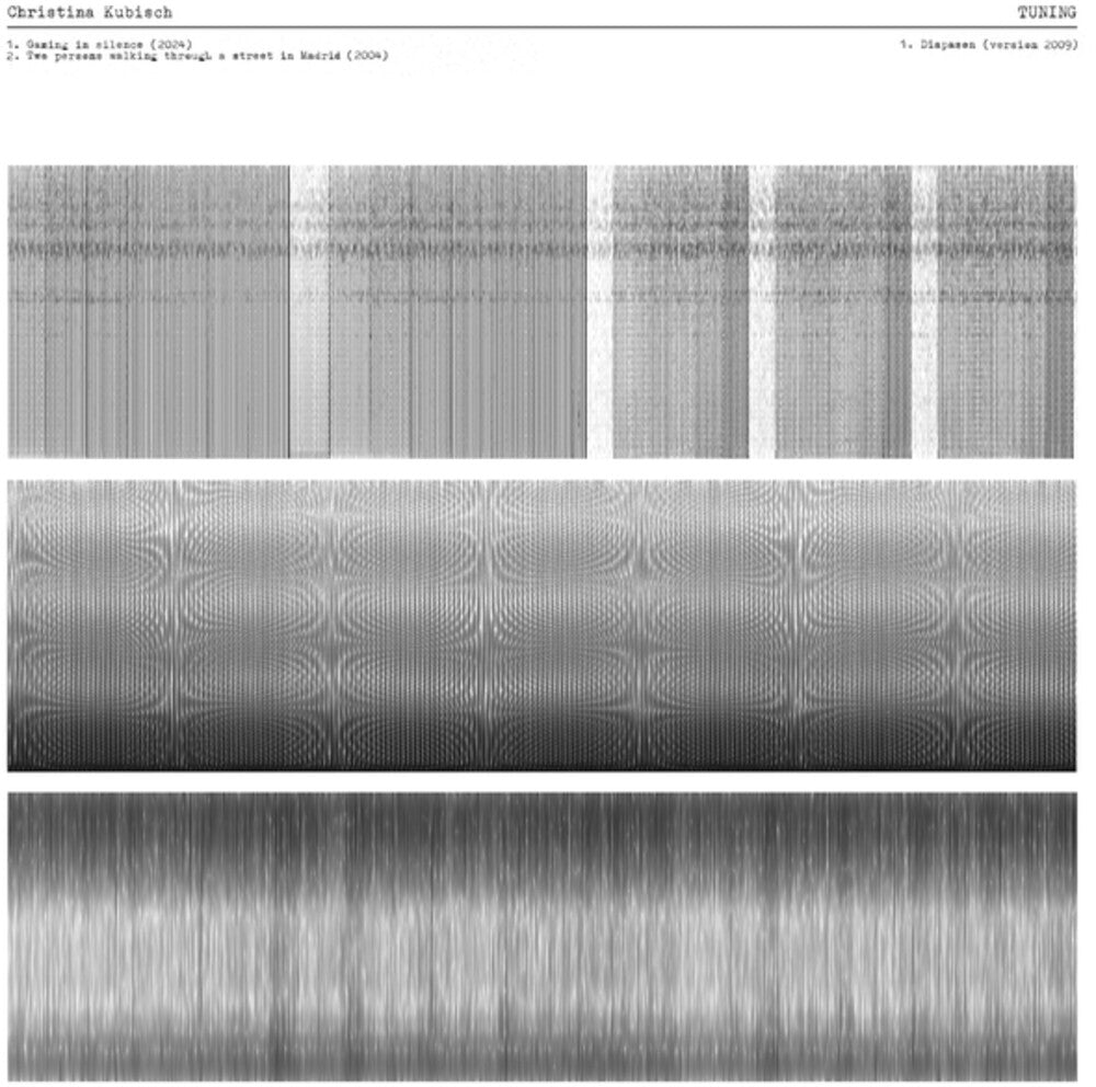 the album cover for Christina Kubisch - Tuning
