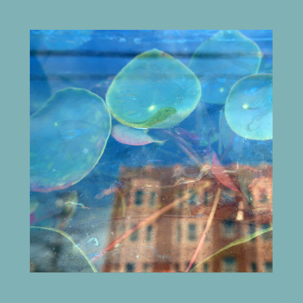 the album cover for Reds Pinks & Purples - Acknowledge Kindness