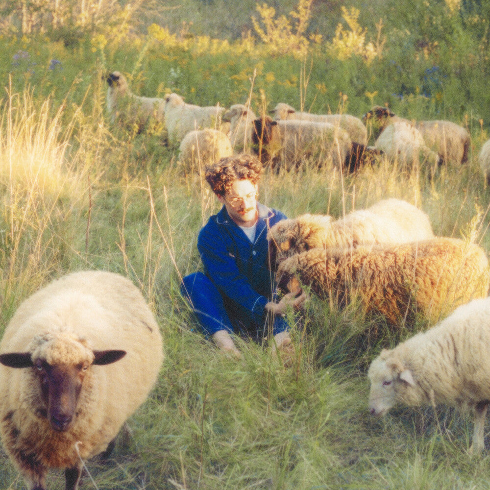 the album cover for Resavoir - Themes For Dreams